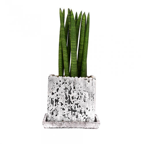 /vr/index.php?num=53